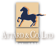ATTARD AND CO 